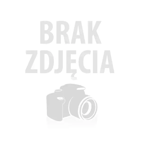 Daszek 12-ramkowy Wlk./Dadant/ Langstroth Niski